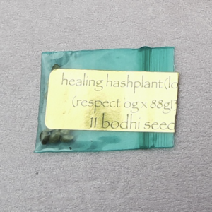 Bodhi Seeds Healing Hashplant F1 11 Regular Seeds