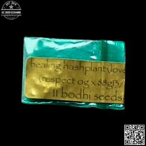 Bodhi Seeds Healing Hashplant (Respect OG x 88g13/hp) 11 Regular Seeds