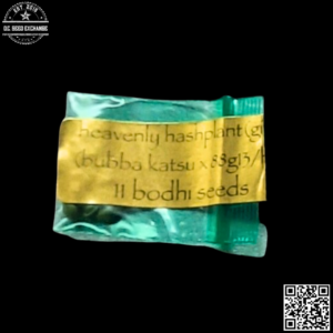 Bodhi Seeds Heavenly Hashplant F1 (Bubba Katsu x 88g13/hp) 11 Regular Seeds