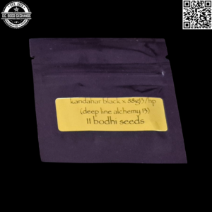 Bodhi Seeds Kandahar Black x 88g13/hp (Deep Line Alchemy 13) 11 Regular Seeds