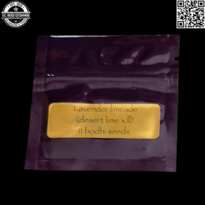 Bodhi Seeds Lavender Limeade (Desert Lime × Lavender Lemonaid) 11 Regular Seeds