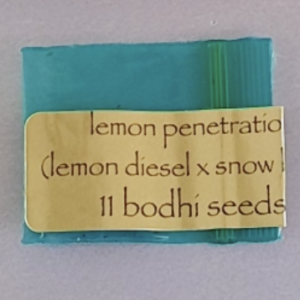 Bodhi Seeds Lemon Penetration 11 Regular Seeds