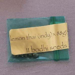 Bodhi Seeds Lemon Thai (Indy) x 88g13hp 11 Regular Seeds