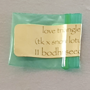 Bodhi Seeds Love Triangle F1 11 Regular Seeds