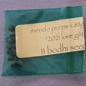 Bodhi Seeds Mendo Purps x 88g13hp F1 11 Regular Seeds