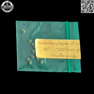 Bodhi Seeds Momentary Lapse of Reason #2 11 Regular Seeds