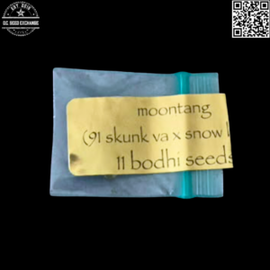 Bodhi Seeds Moontang (Chem 91 Skunk VA x Snow Lotus) 11 Regular Seeds