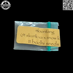 Bodhi Seeds Moontang (Chem 91 Skunk VA x Snow Lotus) 11 Regular Seeds