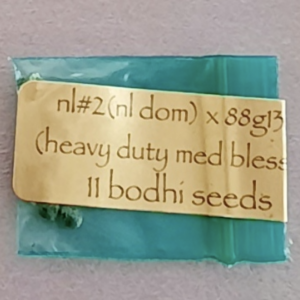 Bodhi Seeds NL2 x 88g13hp 11 Regular Seeds