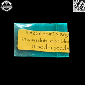 Bodhi Seeds NL#2 (NL DOM) x 88G13/HP 11 Regular Seeds