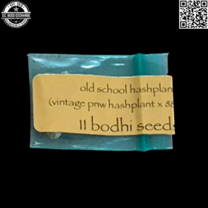 Bodhi Seeds Old School Hashplant (Vintage PNW Hashplant x 88g13/hp) 11 Regular Seeds