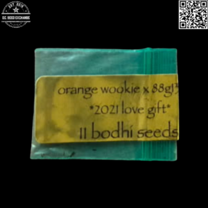 Bodhi Seeds Orange Wookie x 88g13/hp 11 Regular Seeds