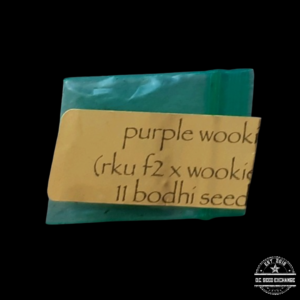 Bodhi Seeds Purple Wookie (Roadkill Unicorn F2 x Wookie 15) 11 Regular Seeds