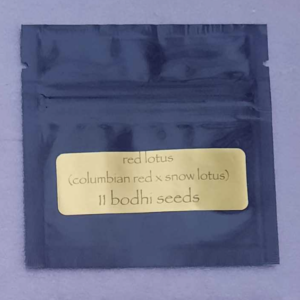 Bodhi Seeds Red Lotus F1 11 Regular Seeds