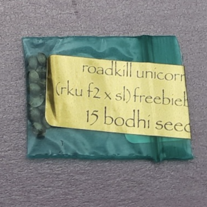 Bodhi Seeds Roadkill Unicorn v2 F1 11 Regular Seeds