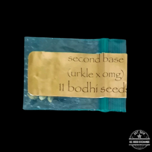 Bodhi Seeds Second Base (Urkle x Old Mother Ghani) 11 Regular Seeds