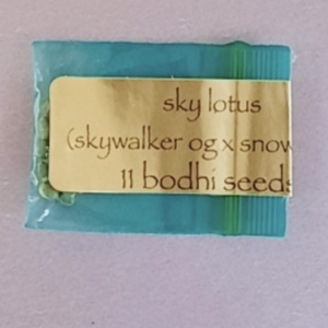 Bodhi Seeds Sky Lotus 11 Regular Seeds