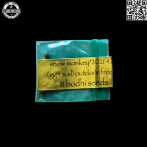 Bodhi Seeds Snow Monkey F1 (GG4 x Snow Lotus) 11 Regular Seeds
