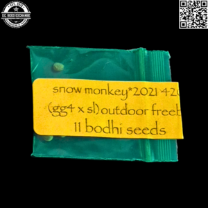 Bodhi Seeds Snow Monkey F1 (GG4 x Snow Lotus) 11 Regular Seeds