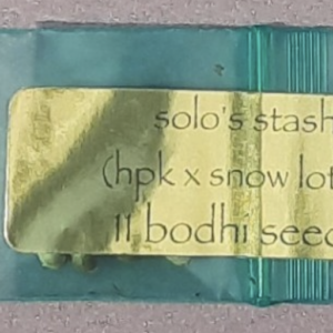Bodhi Seeds Solo's Stash Pack 11 Regular Seeds