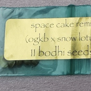 Bodhi Seeds' Space Cake Remix F1 11 Regular Seeds