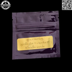 Bodhi Seeds Space Monkey (Gorilla Glue #4 x Wookie #15) 11 Regular Seeds