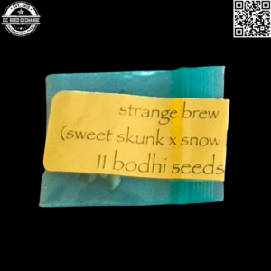 Bodhi Seeds Strange Brew (Sweet Skunk x Snow Lotus) 11 Regular Seeds
