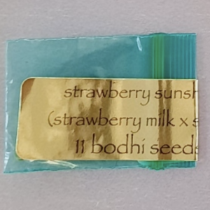 Bodhi Seeds Strawberry Sunshine 11 Regular Seeds