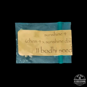 Bodhi Seeds Sunshine 4 (Chem 4 x Sunshine Daydream) 11 Regular Seeds