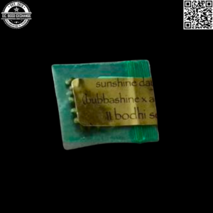 Bodhi Seeds Sunshine Daydream (Bubbashine x Appalachia) 11 Regular Seeds