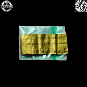 Bodhi Seeds Super Snow Lotus (Massachusetts Super Skunk x Snow Lotus) 11 Regular Seeds