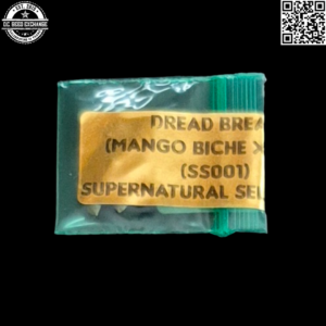 Bodhi Seeds Supernatural Selections 001 Dread Bread (Mango Biche x Old Mother Ghani) 11 Regular Seeds