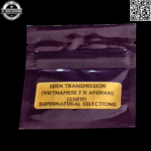Bodhi Seeds Supernatural Selections 019 Eden Transmission (Vietnamese x Afghan) 11 Regular Seeds