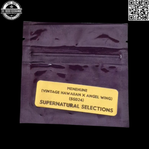 Bodhi Seeds Supernatural Selections 024 Menehune (Vintage Hawaiian x Angel Wing) 11 Regular Seeds