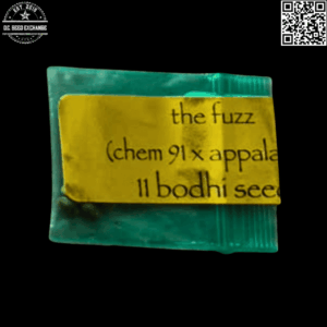 Bodhi Seeds The Fuzz (Chem 91 x Appalachia) 11 Regular Seeds