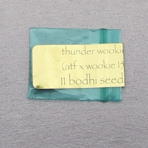 Bodhi Seeds Thunder Wookie F1 11 Regular Seeds