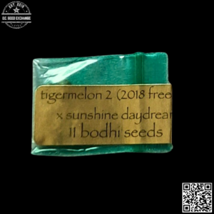 Bodhi Seeds Tigermelon 2 x Sunshine Daydream 11 Regular Seeds