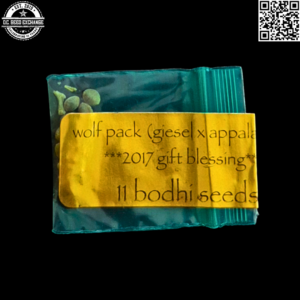 Bodhi Seeds Wolf Pack (Giesel x Appalachia) 11 Regular Seeds