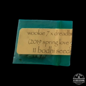 Bodhi Seeds Wookie 7 x Dreadbread 11 Regular Seeds