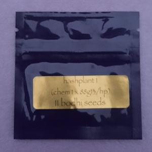 Bodhi Seeds Hashplant 1 F1 11 Regular Seeds