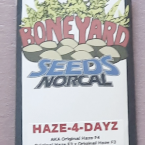 Bone Yard Seeds Haze-4-Dayz F4 15 Regular Seeds