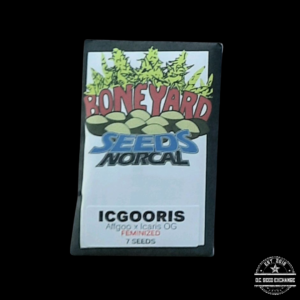 Boneyard Seeds Icgooris (Affgoo x Icaris OG) 7 Feminized Seeds