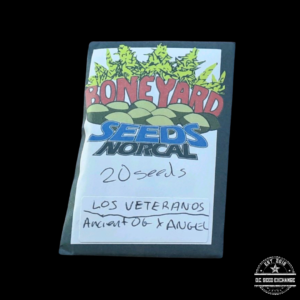 Boneyard Seeds NorCal Los Veteranos F1 (Ancient OG x Angel) 20 Regular Seeds
