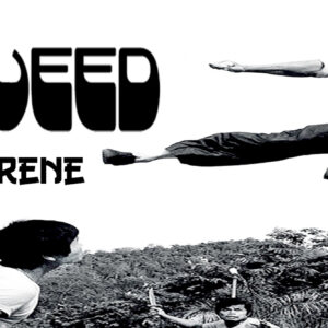 Bruce Weed S1 (The Manic x Irene) 6 Feminized Seeds