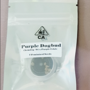 CSI Humboldt Purple Dogbud 7 Feminized Seeds