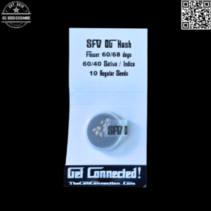 The Cali Connection SFV OG Kush F1 (SFV OG Kush IBL x SFV OG Kush clone) 10 Regular Seeds