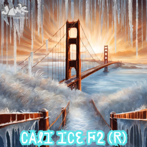 Cali Ice F2 (California Orange x Ice) 12 Regular Seeds