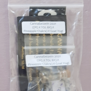 Cannabeizein's [(PG X TOL BX) X Pineapple Chakra] X Goat Yogi F1 10 Regular Seeds