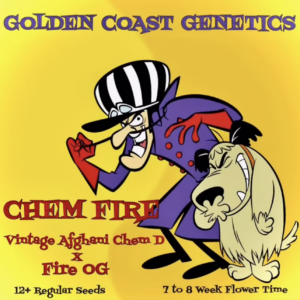 Chem Fire F1 10 Regular Seeds