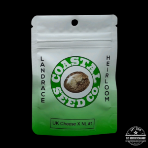 Coastal Seed Co UK Cheese x Northern Lights #1 10 Regular Seeds